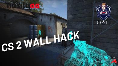 CS 2 Wall Hack Kodu